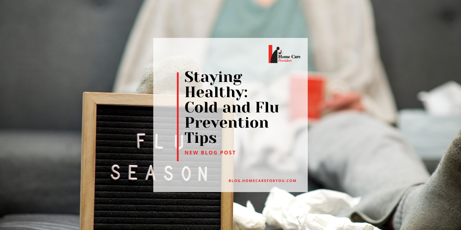 Home Care Providers 10 Cold and Flu Prevention Tips